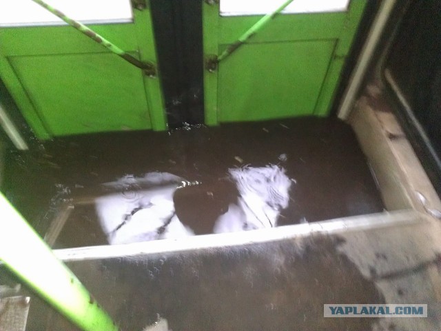 В Ярославле прошел дождь