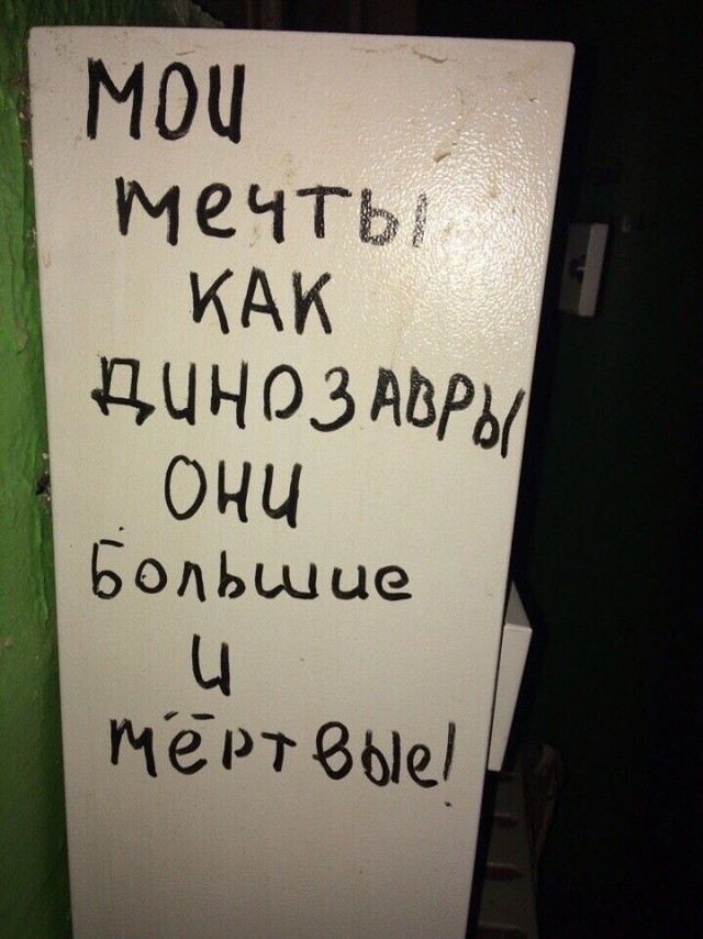 Прикольные и просто красивые картинки 10.01.2025