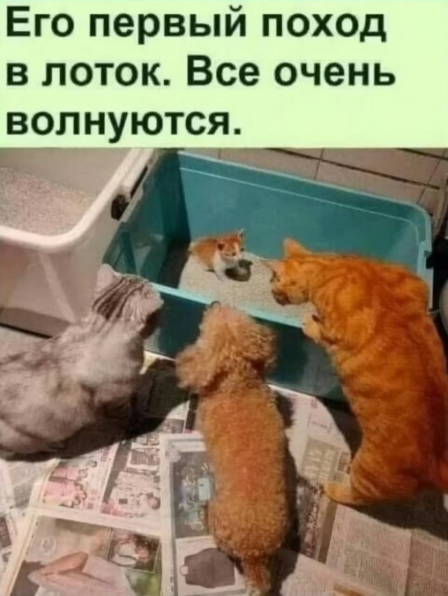Так себе картинки 02.03.25