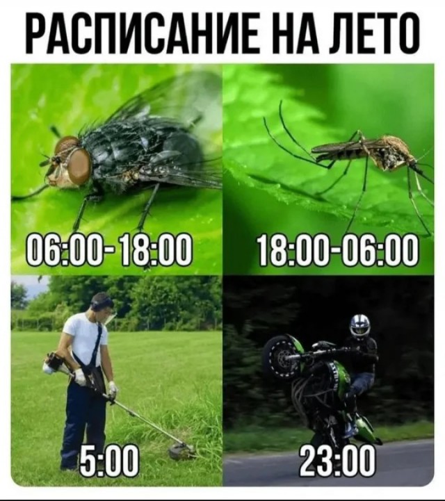 Расписание на лето
