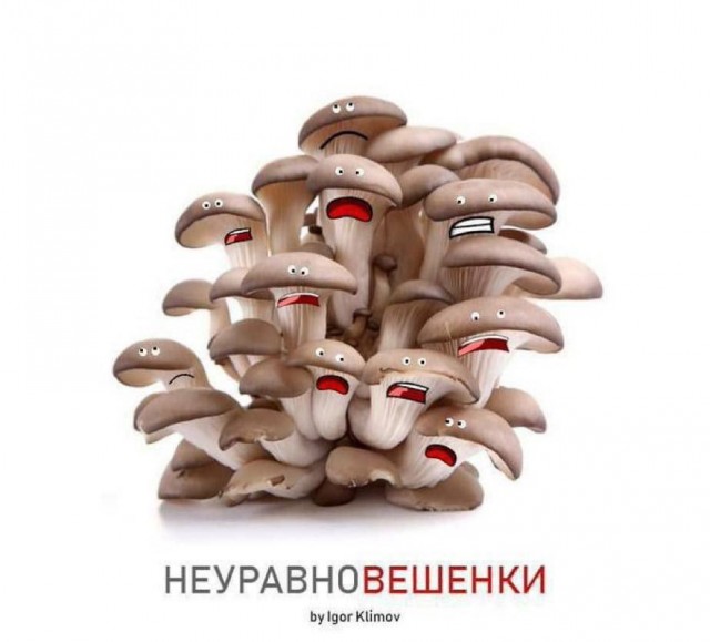 Так себе картинки 14.07.25