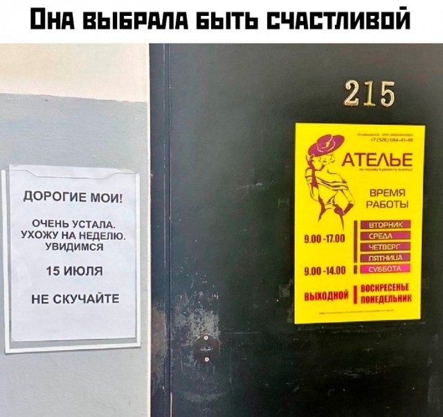 Весёлый полтишок 22.07.25