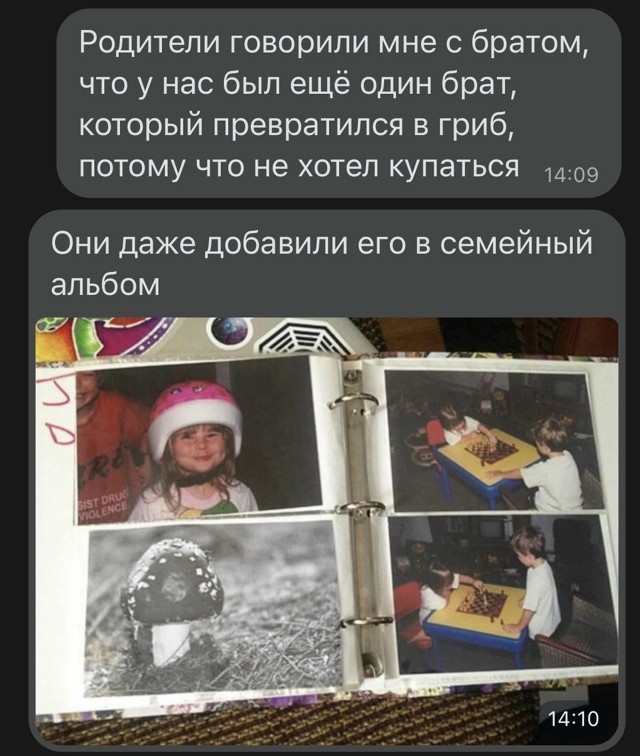 Так себе картинки 16.08.25