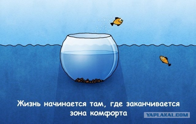 Штош...