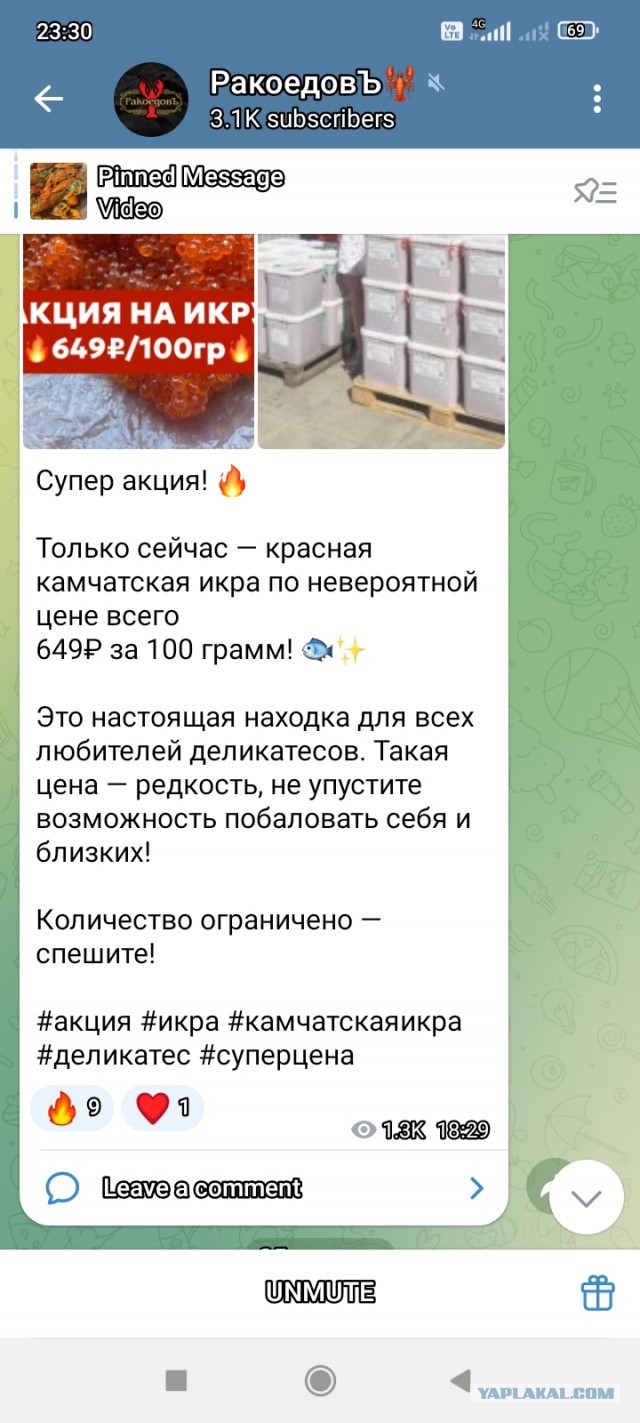 Землетрясение и цунами на Дальнем Востоке повлияли на цену красной икры — она поднялась на 13%.
