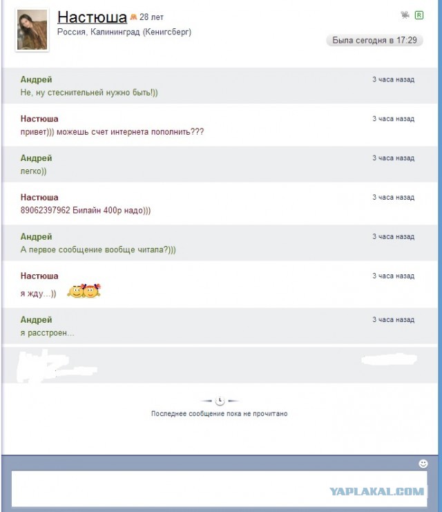 Как аферисты зарабатывают в Скайпе