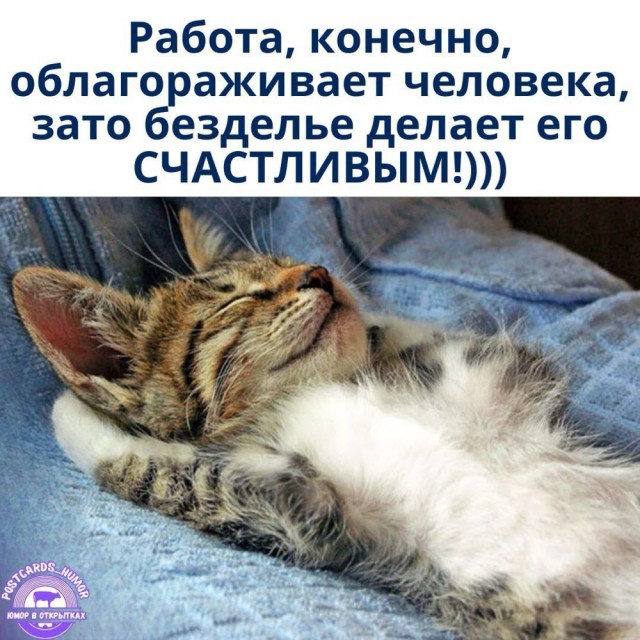 Среды картинки