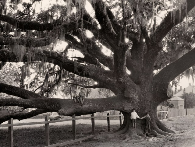 Редкие кадры и архивные снимки 11.03.26