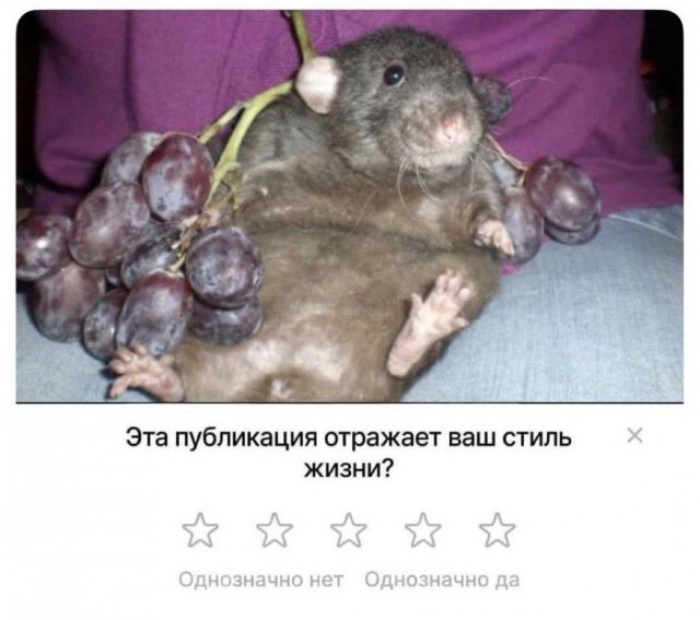 Среды картинки