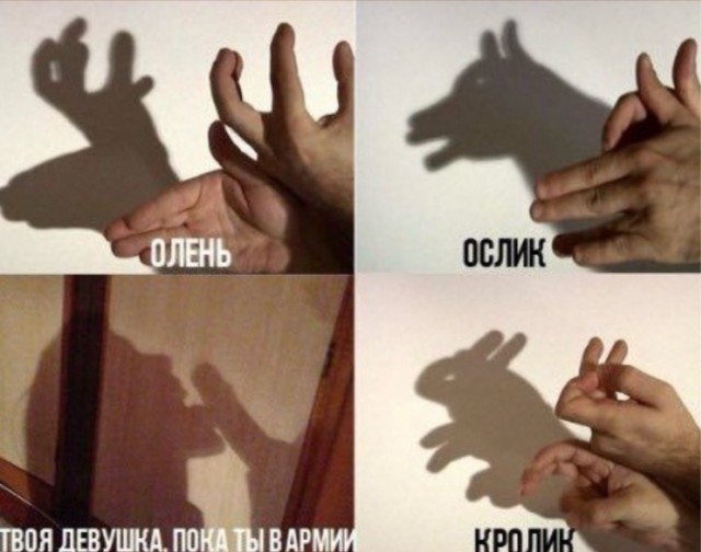 Веселые картинки в пятницу (29.05)
