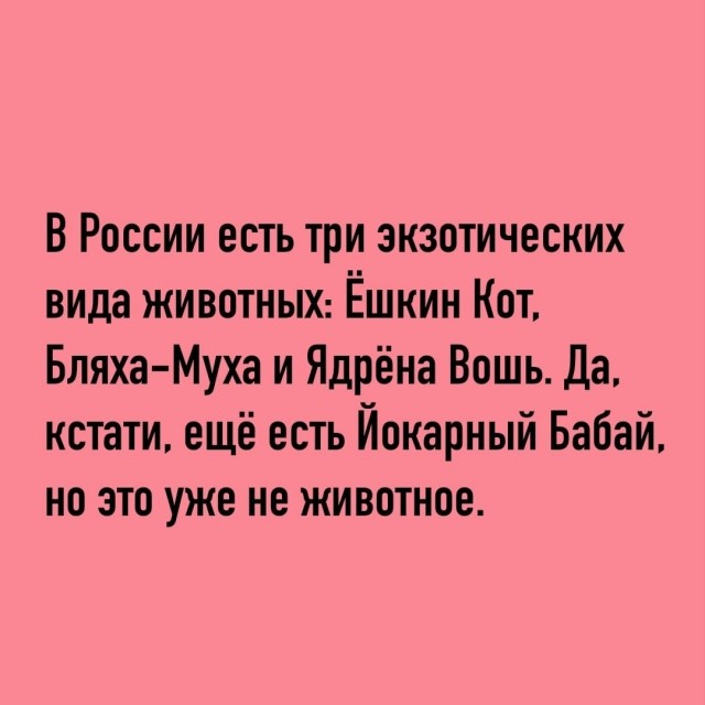 Так себе картинки 31.07.26