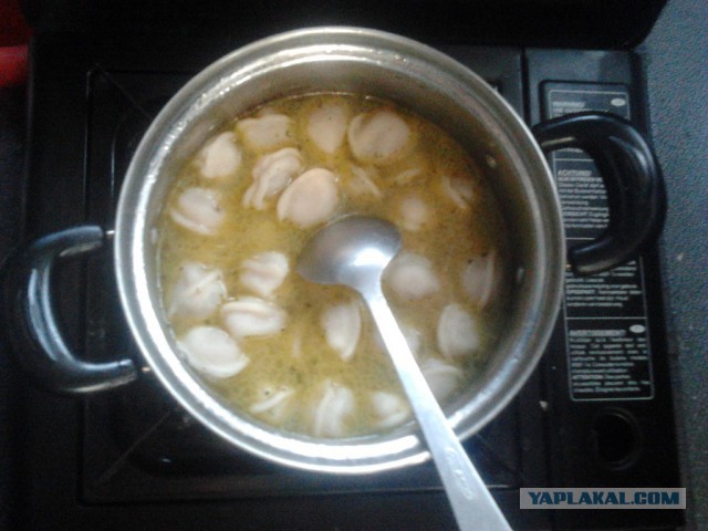 Где яблоки растут!