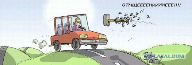 Агрессивный водитель Mercedesа