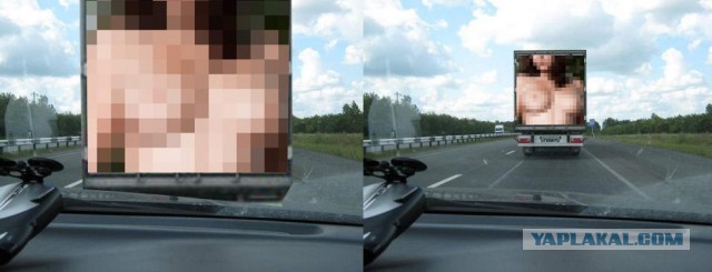 Спасла реакция