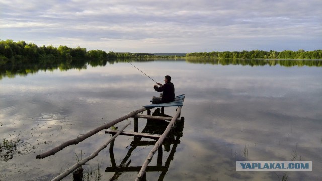 15 любительских фотографий