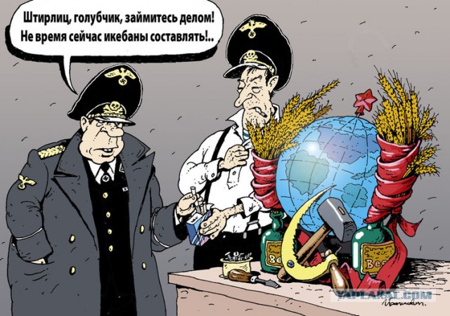 Смешные картинки