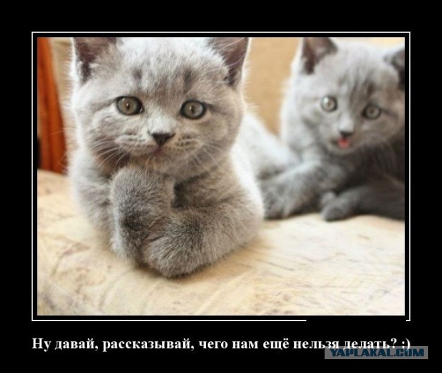 Демотиваторы