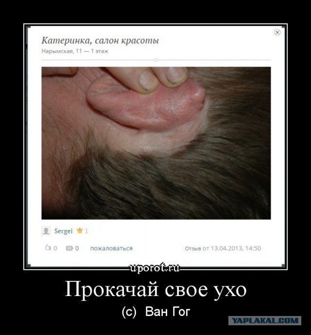 Весёлое из сети