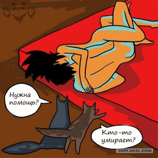 Забавные картинки из Сети