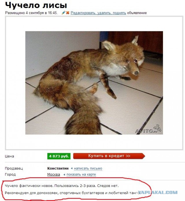 Музей неудачных Чучел