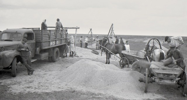 Наша история. Колхоз "Путь Ленина" 1946 год