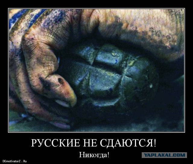 Подвиг Авианаводчика в Пальмире