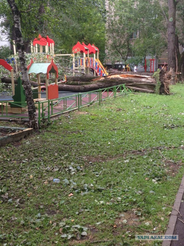 Сильная гроза в Москве и ее последствия