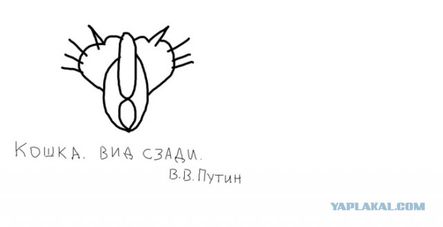 Под другим углом: неизвестные ракурсы известных мест