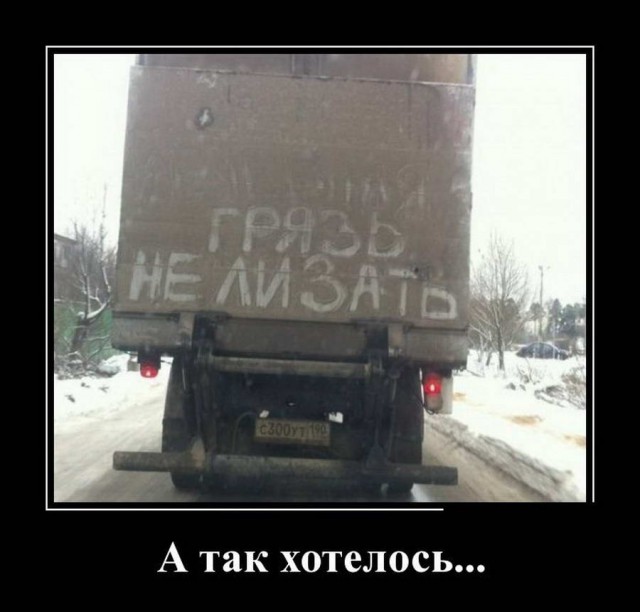 Подборка безудержного веселья
