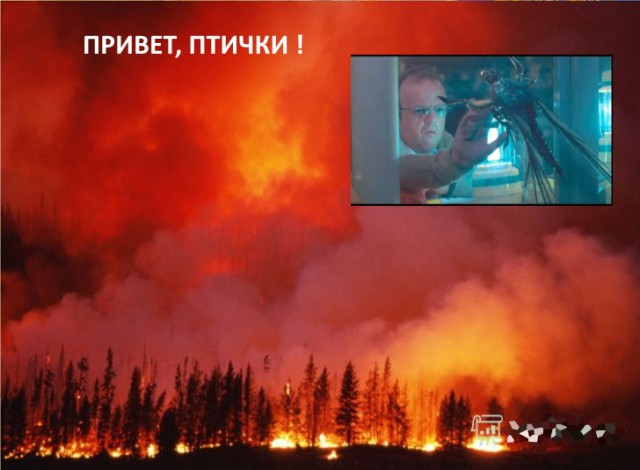 "Мгла". Другой вариант или фантазия на тему.
