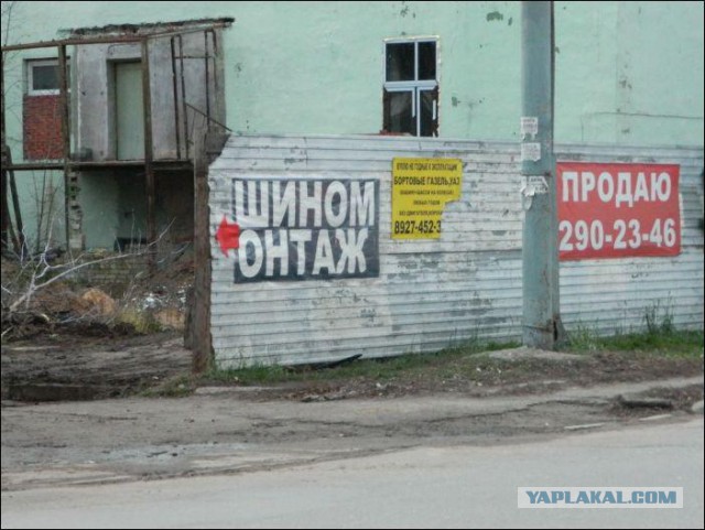 Несколько веселых картинок