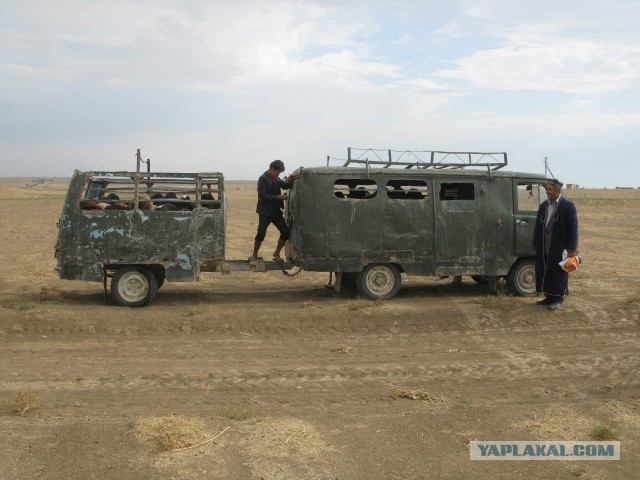 "Лакшери буханки" от монгольского автоателье