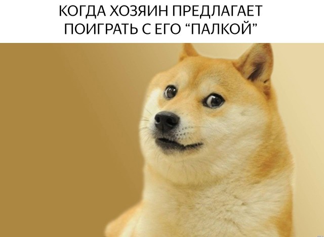 Нестандартный юмор