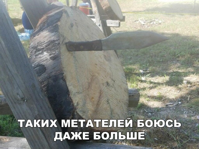Прикольные картинки абавсём