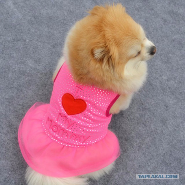 Хот-дог battle