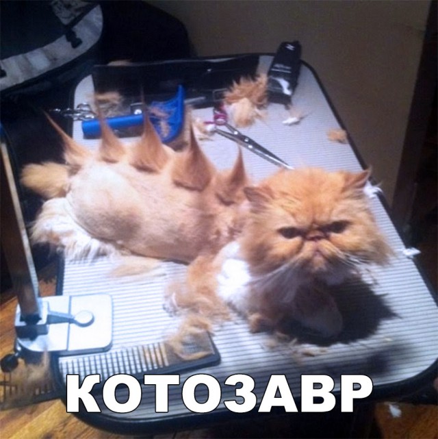 Немного милоты