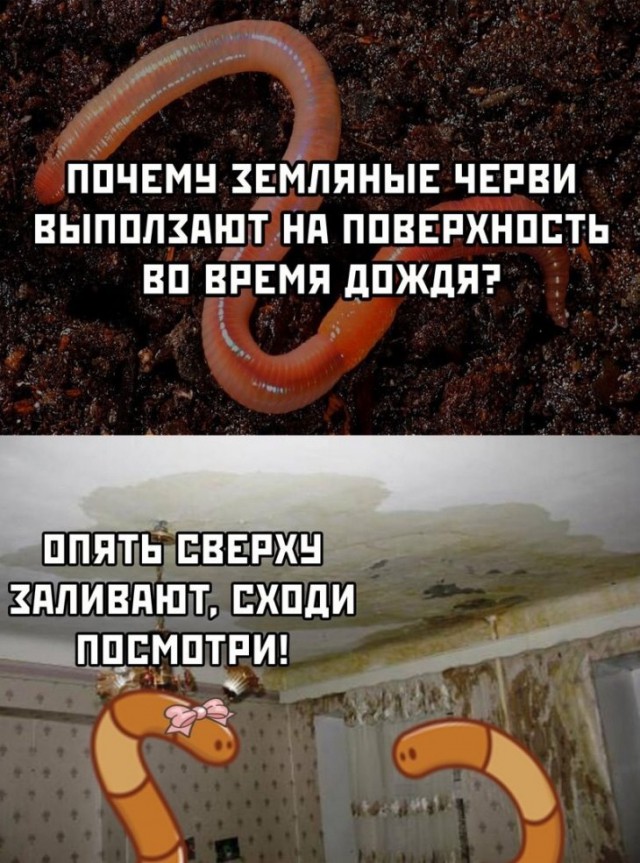 Немного картинок для настроения