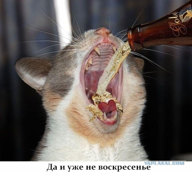 ПЯТНИЦЦО!