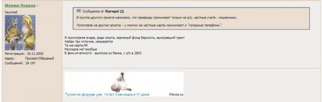 Помогите вернуть кота! Приют "Преданное сердце" украл кота и не отдает!-2