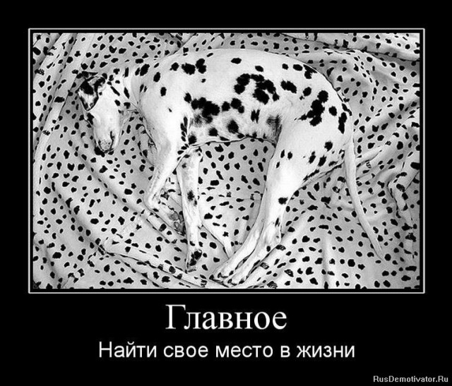 Демотиваторы про минутку доброты