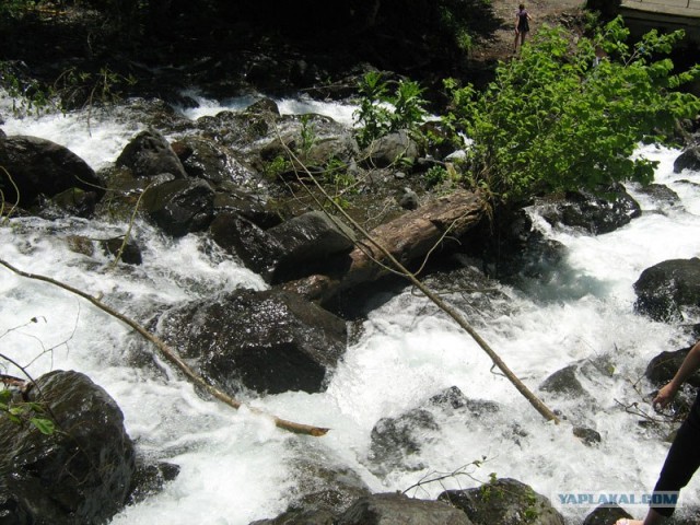 Абхазия (49 фото)