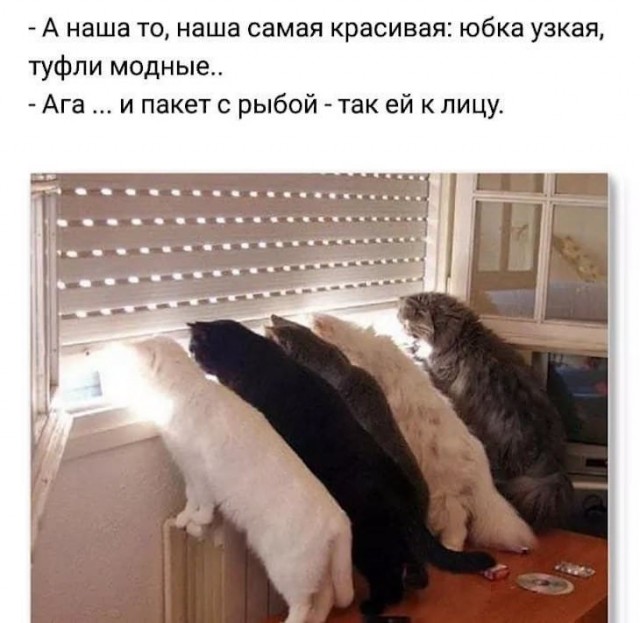 Немного картинок для настроения 27.02.20