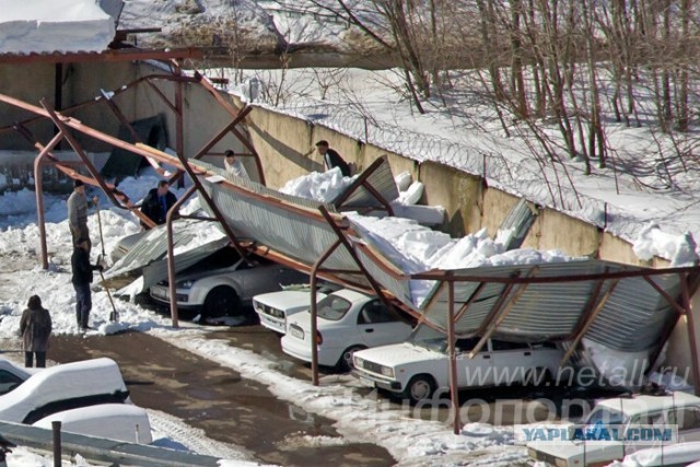 Подскажите, чем лучше накрыть навес?