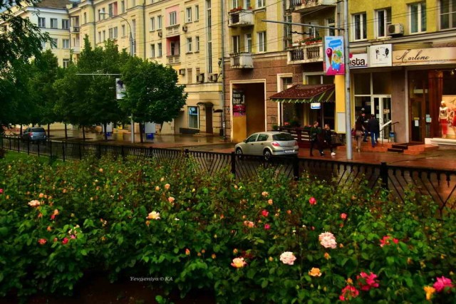 Делимся красивыми фотографиями своего родного города