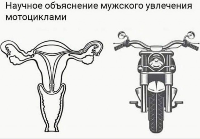 Юмор в картинках 03.12.20