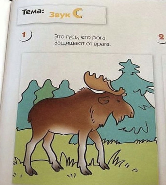 Бредзона 12.12.20