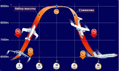 Кошки в невесомости
