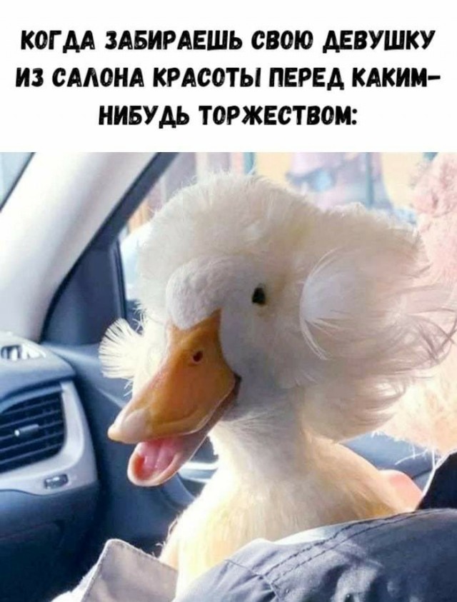 Картинки разнообразные