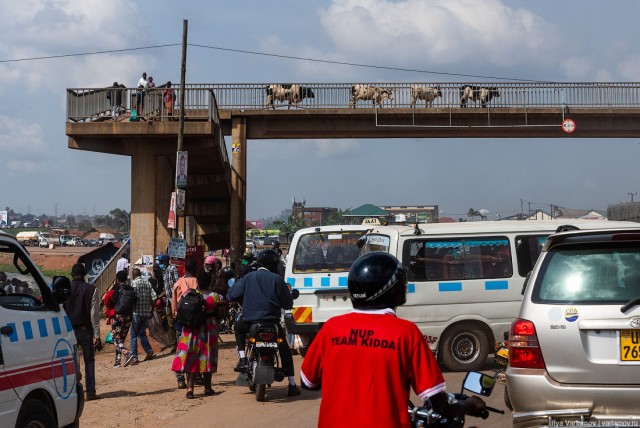 Уганда: деревни, колдуны и детские жертвоприношения