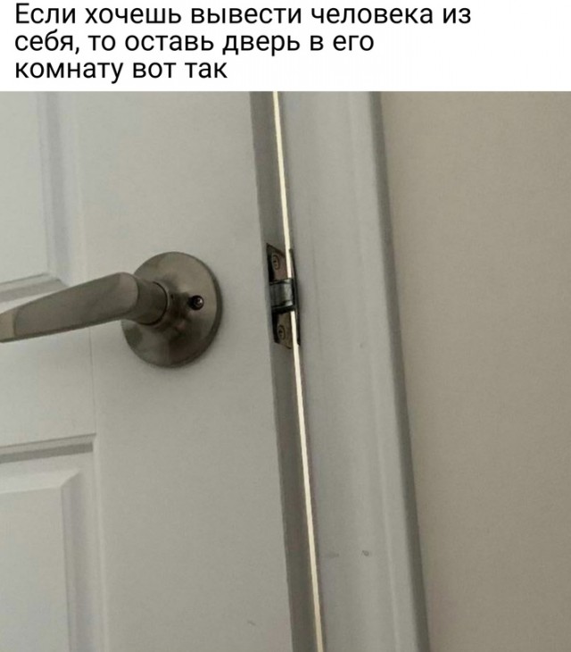 Весёлый полтишок 7.05